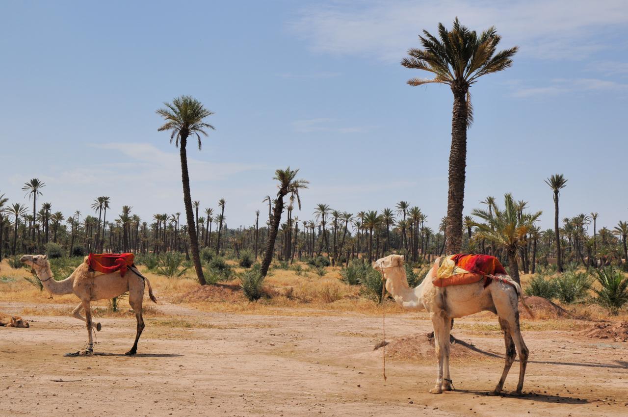 Riad Dar More Marrakesh Eksteriør bilde